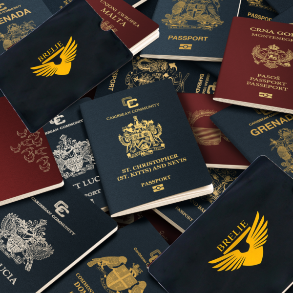 rfid-passport-sleeves-for-all-worldwide-use